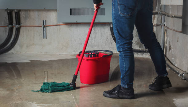 Best Sewage cleanup and water damage restoration  in Basalt, CO