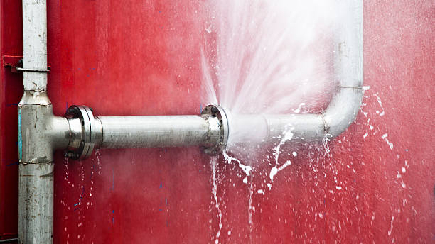Best Flood restoration services  in Basalt, CO